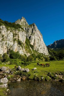 Mountain landscape and semi-wild horses, Lescun, Département Pyrénées-Atlantiques, Region