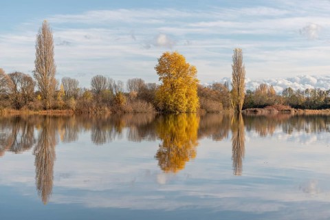 The river flows flat and reflects clouds and mountains under a clear sky. Autumn trees draw the