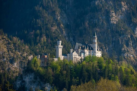 Fairytale Neuschwanstein Castle nestled in wooded mountains, surrounded by a mystical and romantic
