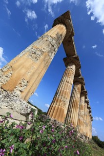 Metaponto, Metaponte, Doric hera temple, Tavole Palatine, Basilicata, Italy