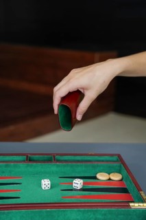 A person rolls on a backgammon board, capturing the essence of strategic play and chance The board,