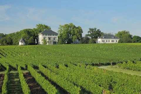 Vineyards with daubhäuschen, art collection Burgeff Villa art museum, building, vineyard houses,