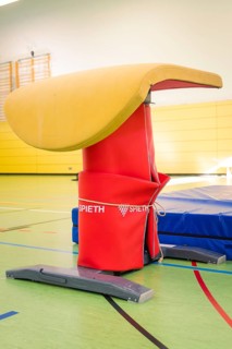 A padded jumping horse in red and yellow in a bright sports hall, Gymnastics, Calw, Germany