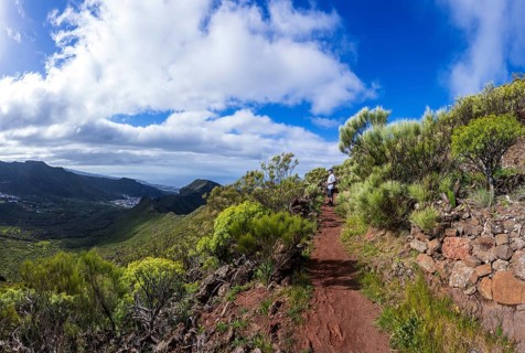 Mountain hiking, hikers on the way to Risco Blanco, El Molledo, Tenerife, Canary Islands, Spain