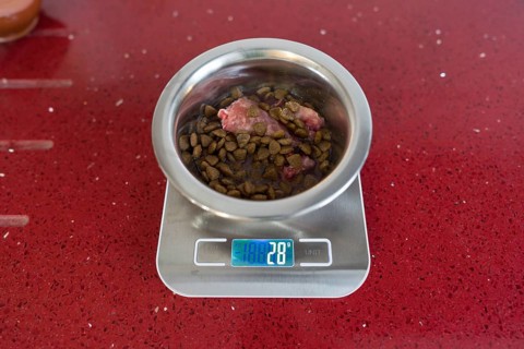 A stainless steel bowl containing dog food sits atop a digital kitchen scale on a red counter top.