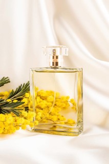 A sophisticated glass perfume bottle rests beside bright yellow mimosa flowers on elegant, creamy