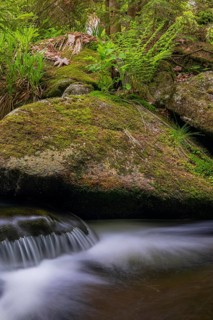 Kleine Ohe creek below Waldhaeuser village in the Bavarian Forest Nationalpark. Flowing water,