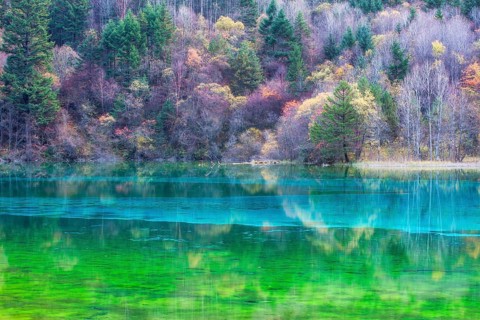 Jiuzhaigou, Sichuan, China – a UNESCO World Heritage nature reserve in the Min Mountains of