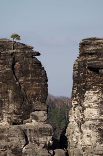 Elbe Sandstone Mountains, Bastei area, March, Saxony, Germany
