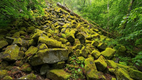 Basalt boulders, beside the basalt prisms, Gangolfsberg, Rhön Biosphere Reserve, Bavaria, Germany