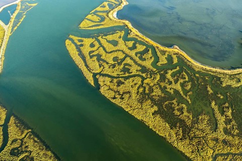 An aerial shot capturing the mesmerizing patterns and vibrant greenery of the Guadalquivir Marshes,