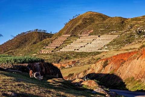 Terraces in a mountainous landscape with clear blue skies surrounded by vegetation and shade, the