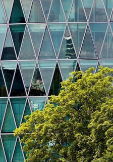 Green tree in front of the Westhafen Tower with a diamond-shaped, petrol-coloured façade structure