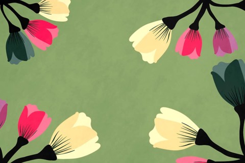 A vibrant floral illustration, featuring a variety of colorful flower designs on a soothing green