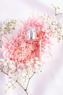 A transparent glass perfume bottle is elegantly placed on a background of pink chrysanthemums and
