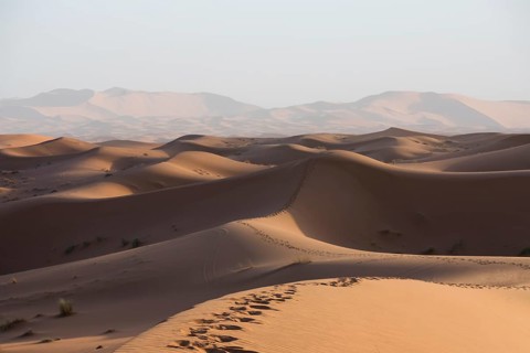 Warm golden sand dunes stretch across a vast Merzouga desert landscape under a clear sky. The dunes