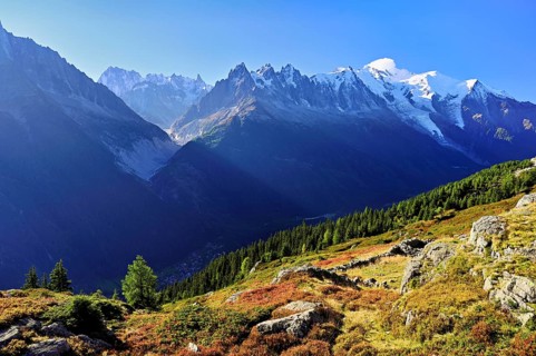 Mountain forest in an autumnal landscape with the snow-covered Mont Blanc massif in the background,
