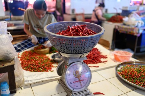 Bangkok, Thailand. February 19th 2025. A Thai woman preparing fresh red chilli peppers at the