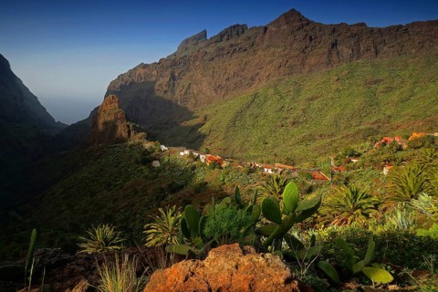 Canary Islands, Tenerife, Masca, Tenerife, Canary Islands, Spain