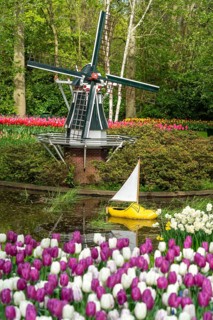 The Keukenhof, gardens, amusement park, spring park, spring flower show, near Lisse, South Holland,
