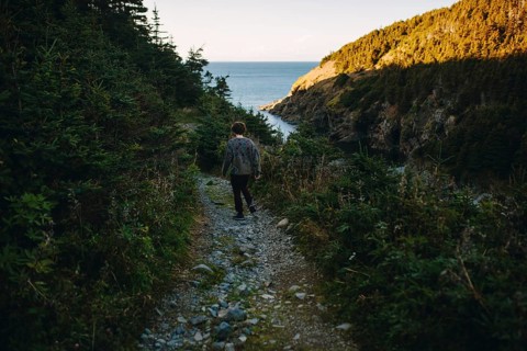 Back view of an unrecognizable man trekking a rocky trail surrounded by lush greenery in Shoe Cove