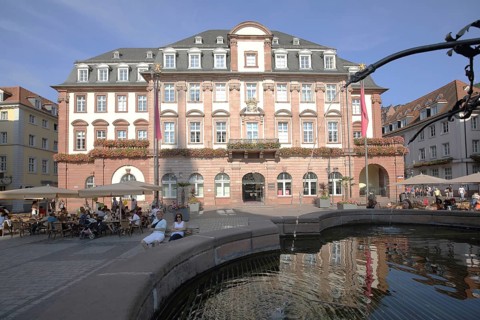 Market square with fountain and town hall, reflection in the water basin, Heidelberg,