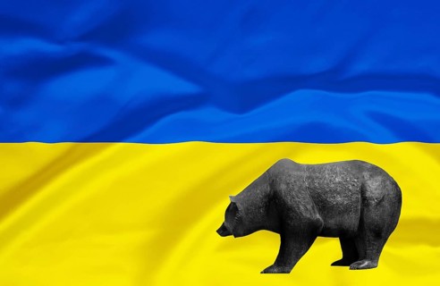 Stock market, stock prices in Ukraine, bear market, falling prices, flag, national flag, bear, bull