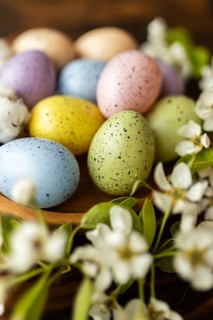 Pastel-colored Easter eggs rest alongside delicate white blossoms, creating a charming and festive