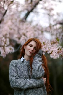 A serene moment captured as a person stands under blooming cherry blossoms, enveloped in soft pink