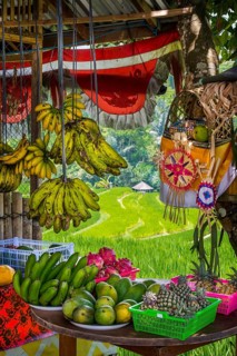 Fruit stand, stall, Jatiluwih rice terrace, fruit, fresh, sale, rice, agriculture, export, tourism,