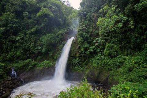 Catarata de la Paz waterfall, Costa Rica, flowing with massive volume after heavy rainfall.