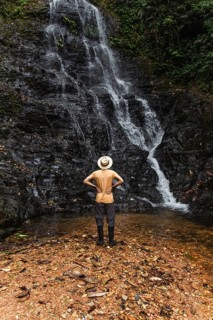 Back view of an unrecognizable young man, admiring a towering waterfall in the Choco Andino
