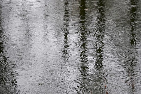 Lake with raindrops, spring, Germany