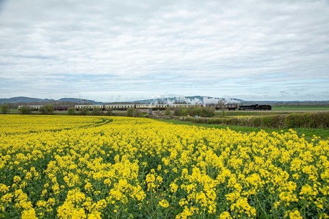 Steam Railway, Gloucestershire Warwickshire Steam Railway, GWSR, Rape Field near Broadway, The