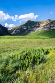 Grassland with sandstone cliffs and cliffs, landscape in Golden Gate Highlands National Park, Free