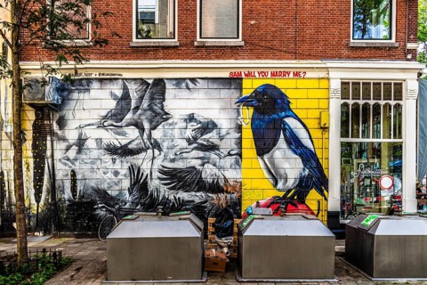 Witte de Withstraat, nightlife and cultural scene, Rotterdam, the Netherlands