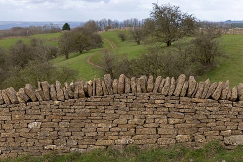Stone wall, winter trees, meadows, hills, Broadway, The Cotswolds, England, Great Britain