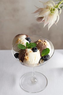 A tempting serving of vanilla and chocolate ice cream scoops adorned with fresh blueberries and