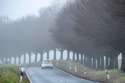 Thick fog, with low visibility, country road, Schuirweg, bare trees, winter, in Essen, North