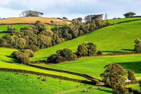 Colours of Devon Farms and Fields over Paignton and Berry Pomeroy, Totnes, England, United Kingdom