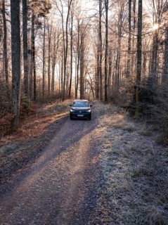 A car drives through tall, bare trees on a frosty forest path at sunrise in winter, car sharing,