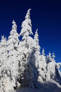 Winter landscape in the Fichtelgebirge, Bayreuth district, Upper Franconia, Bavaria, Germany