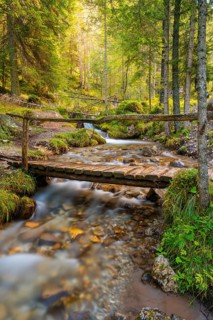 View of a rustic wooden bridge leading over a torrent, long exposure, Dolomites, Puez-Geisler
