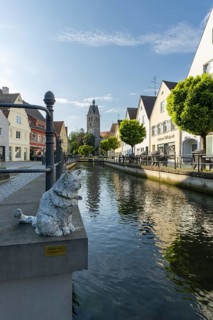 Bronze sculpture by Cornelia Brader: City tomcat Chicco at the city stream, behind it Our Lady's