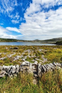 Hiking trail leads through stone wall, boundary, karst landscape, lake on the horizon, Burren