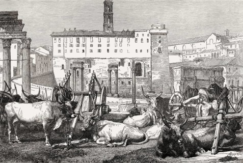 The Roman Forum or Forum Romanum, Rome, Italy, 19th Century