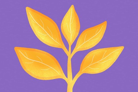 A digital illustration of vibrant yellow leaves against a bold purple backdrop. The artistic design