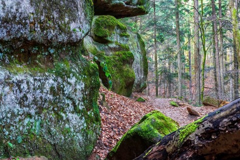 Winter atmosphere in the Hägeles- und Brunnenklinge nature reserve in the Swabian-Franconian