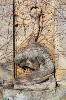Sad grave figure, entwined with bare tendrils, as if bound, Trinitatisfriedhof Riesa, Saxony,