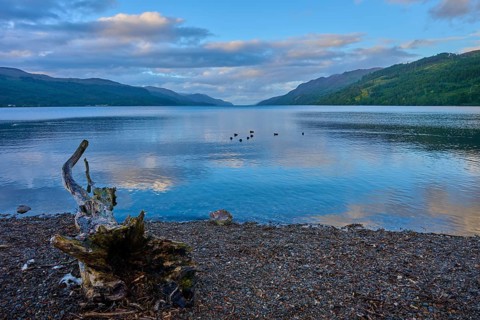 Rocky beach on lake with driftwood and reflecting water surface in cloudy sky, Fort Augustus, Loch